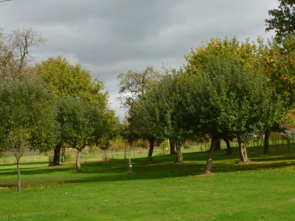 Gite "La Bournilliere" Vicq-sur-Nahon Exterior foto